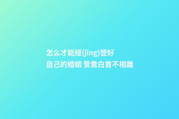怎么才能經(jīng)營好自己的婚姻 鴛鴦白首不相離